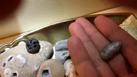 Nug1.webp