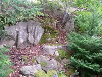 20170908_100859.webp