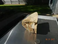 DSCN2024.webp