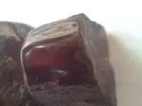 1506411890877.webp