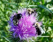 K1600_DSCN4713.webp