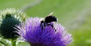 K1600_DSCN4716.webp