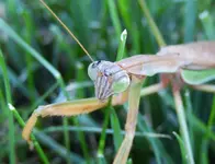 K1600_DSCN4704.webp