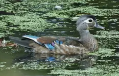 K1600_DSCN4728.webp