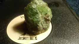1504078289225.webp