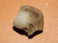 DSCN7469.webp