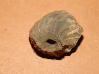 DSCN7470.webp