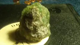 1504078327867.webp