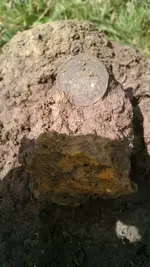 2 cent dirt shot.webp
