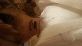 15080823522881781166112.webp
