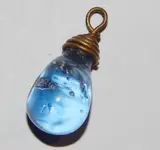 DSCN7829.webp