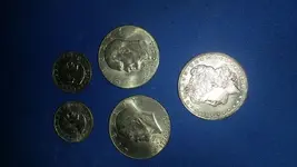 coinfind 081407.webp