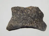 DSCN7129.webp