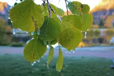 9-26aa.webp