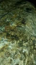 20171005_194735~01.webp