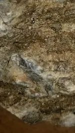 20171005_194915~01.webp