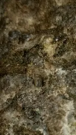 20171005_194616~01.webp