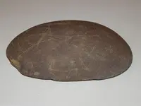 DSCN7139.webp