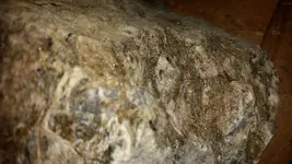20171005_194915.webp