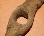 DSCN7564.webp