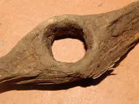 DSCN7565.webp