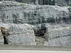 067-Newman-Limestone-Mississppian-PG_thumb 4.webp