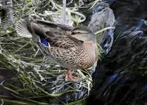 K1600_DSCN4075.webp