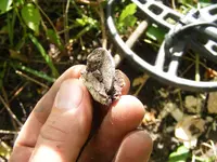 DSCF0509.webp