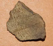 DSCN7482.webp