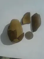 ImageUploadedByTreasureNet.com1503355987.200420.webp