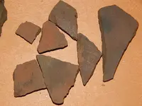 DSCN7484.webp