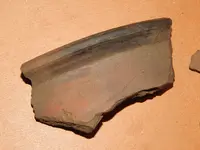DSCN7485.webp
