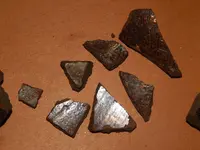 DSCN7486.webp