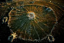 aerial-view-unknown-source.webp