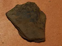 DSCN7488.webp