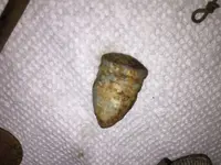 firstmini.webp