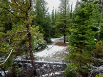trip 092617 5.webp