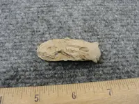 DSC02863.webp