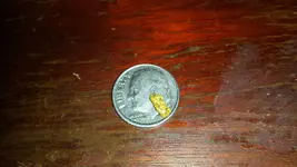 20170917_192748[1].webp