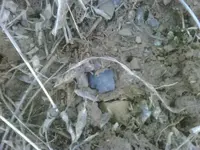 !cid__IMG00009-20100202-1109.webp