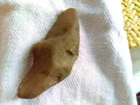 IMAG0140.webp