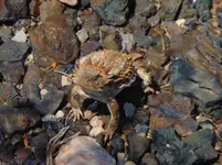 DSC04318.webp