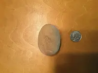 egg2.webp