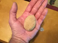 egg3.webp