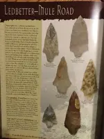 ImageUploadedByTreasureNet.com1508116631.861702.webp