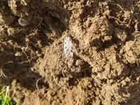 20170926_153627.webp