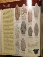 ImageUploadedByTreasureNet.com1505716611.585001.webp