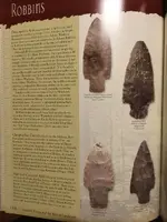 ImageUploadedByTreasureNet.com1505716737.351274.webp
