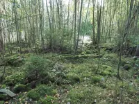 IMG_1709.webp