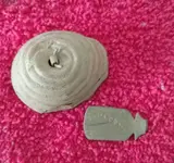 IMG_20170927_170516.webp